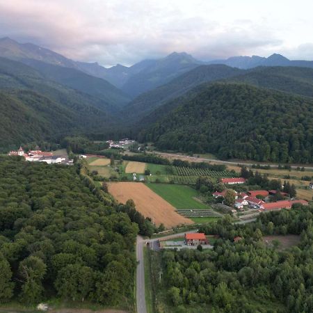 Pensiunea Maya Sâmbăta de Sus Exterior foto