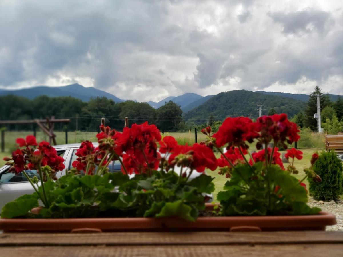Pensiunea Maya Sâmbăta de Sus Exterior foto