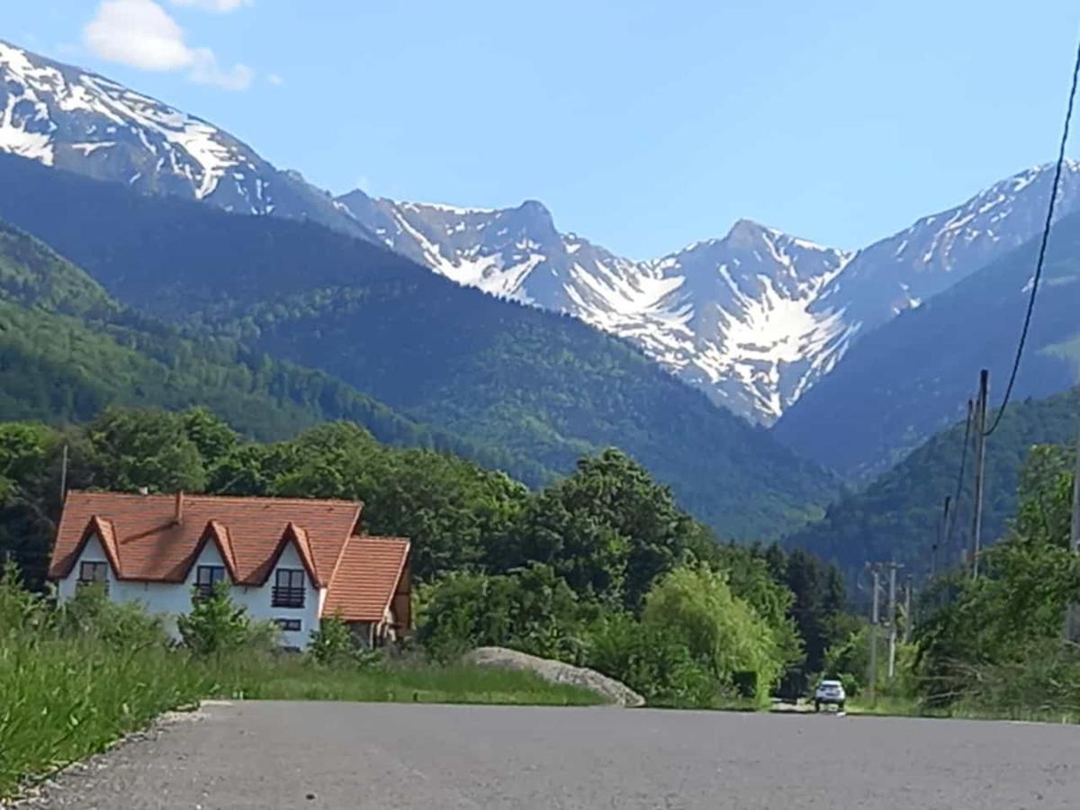 Pensiunea Maya Sâmbăta de Sus Exterior foto