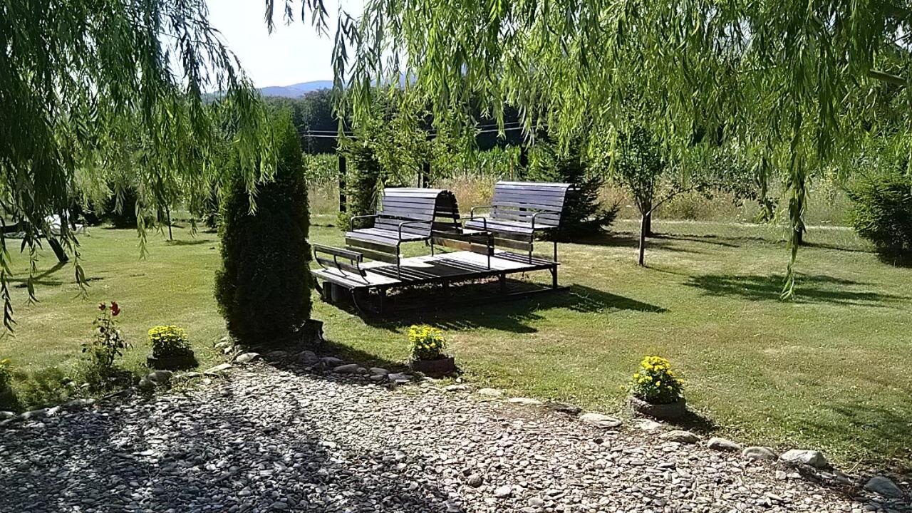 Pensiunea Maya Sâmbăta de Sus Exterior foto