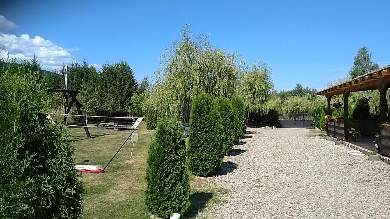 Pensiunea Maya Sâmbăta de Sus Exterior foto