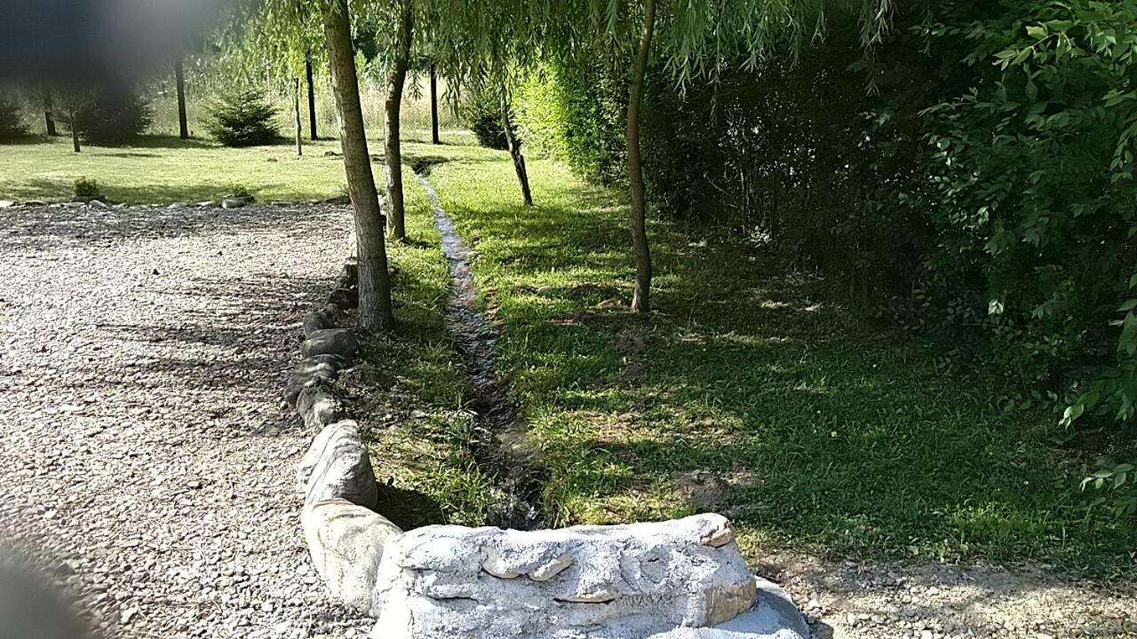 Pensiunea Maya Sâmbăta de Sus Exterior foto