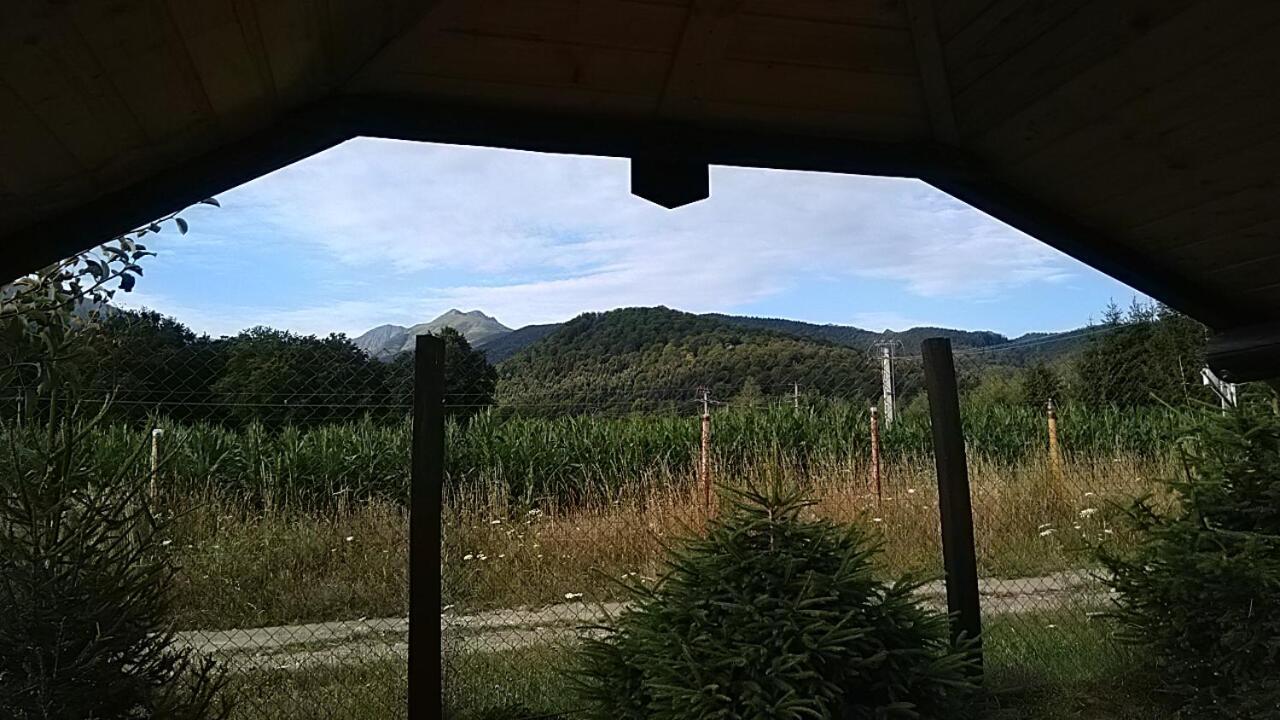Pensiunea Maya Sâmbăta de Sus Exterior foto