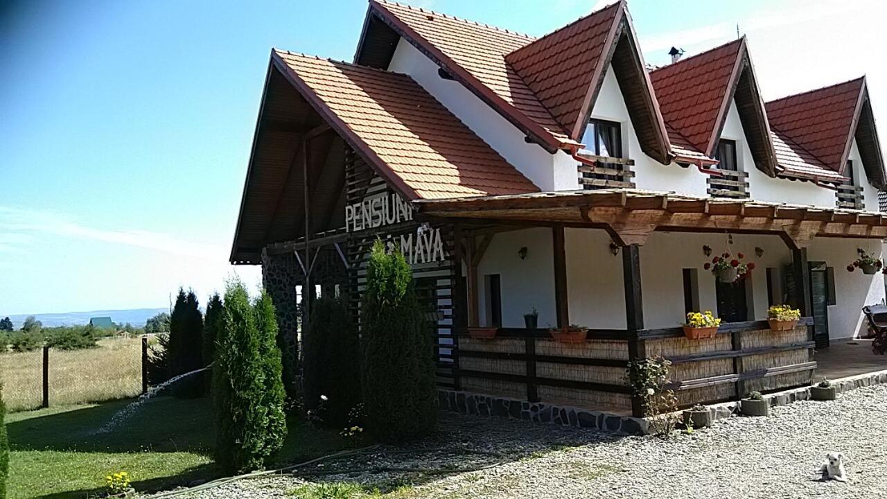 Pensiunea Maya Sâmbăta de Sus Exterior foto