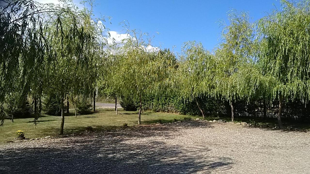 Pensiunea Maya Sâmbăta de Sus Exterior foto