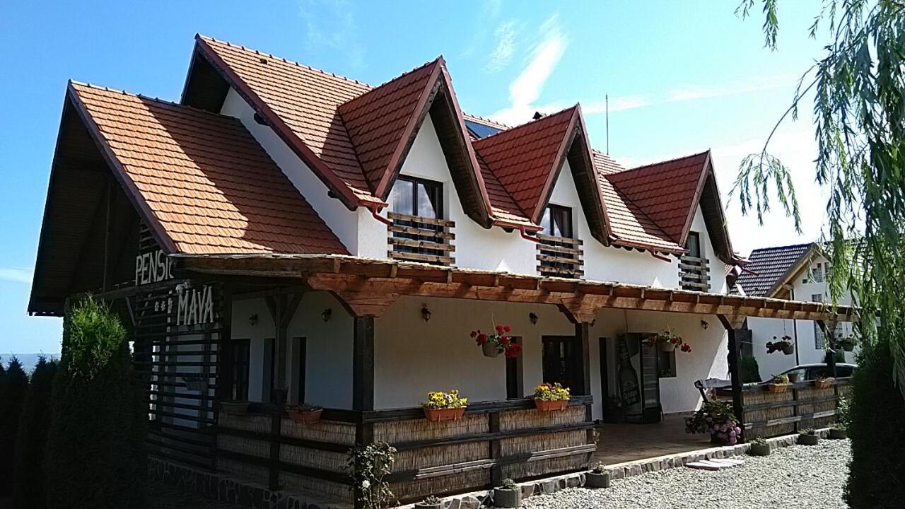Pensiunea Maya Sâmbăta de Sus Exterior foto