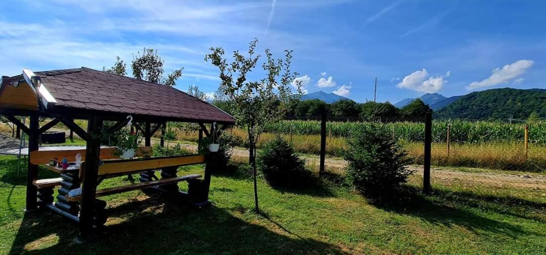 Pensiunea Maya Sâmbăta de Sus Exterior foto