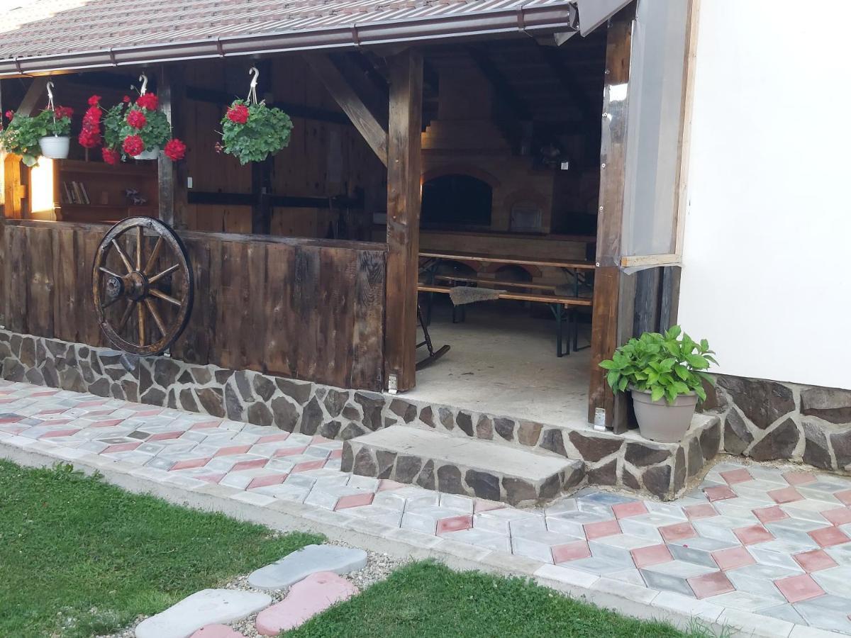 Pensiunea Maya Sâmbăta de Sus Exterior foto