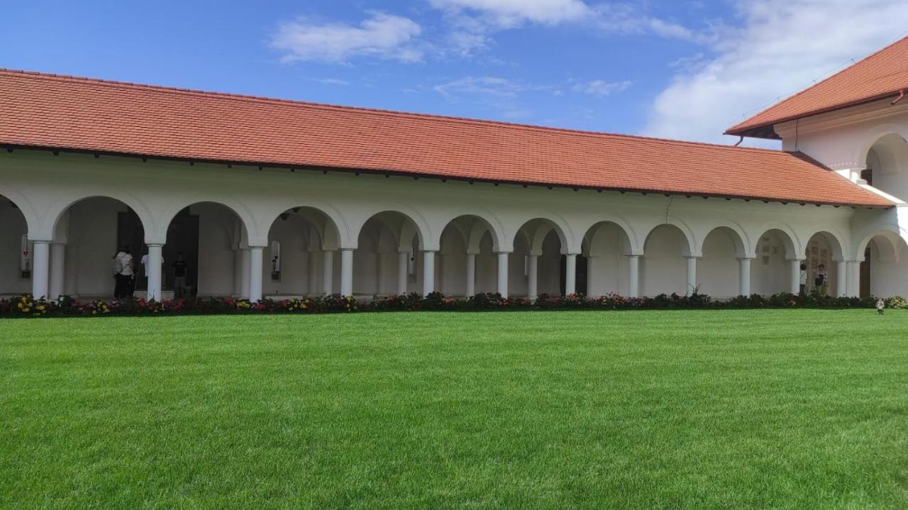 Pensiunea Maya Sâmbăta de Sus Exterior foto