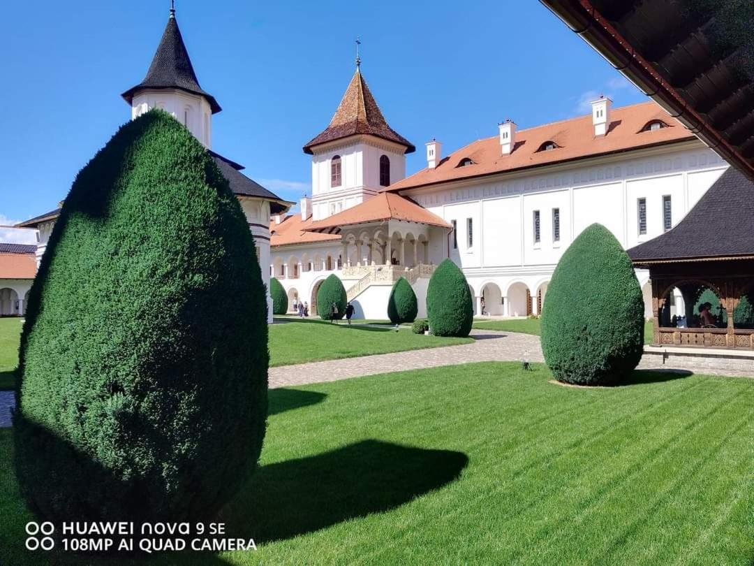 Pensiunea Maya Sâmbăta de Sus Exterior foto