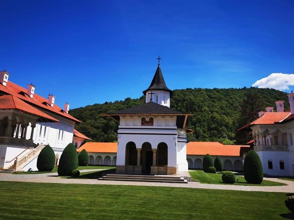 Pensiunea Maya Sâmbăta de Sus Exterior foto
