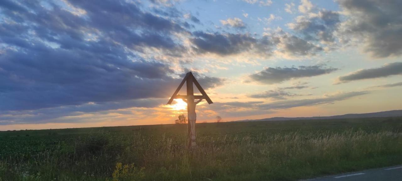 Pensiunea Maya Sâmbăta de Sus Exterior foto