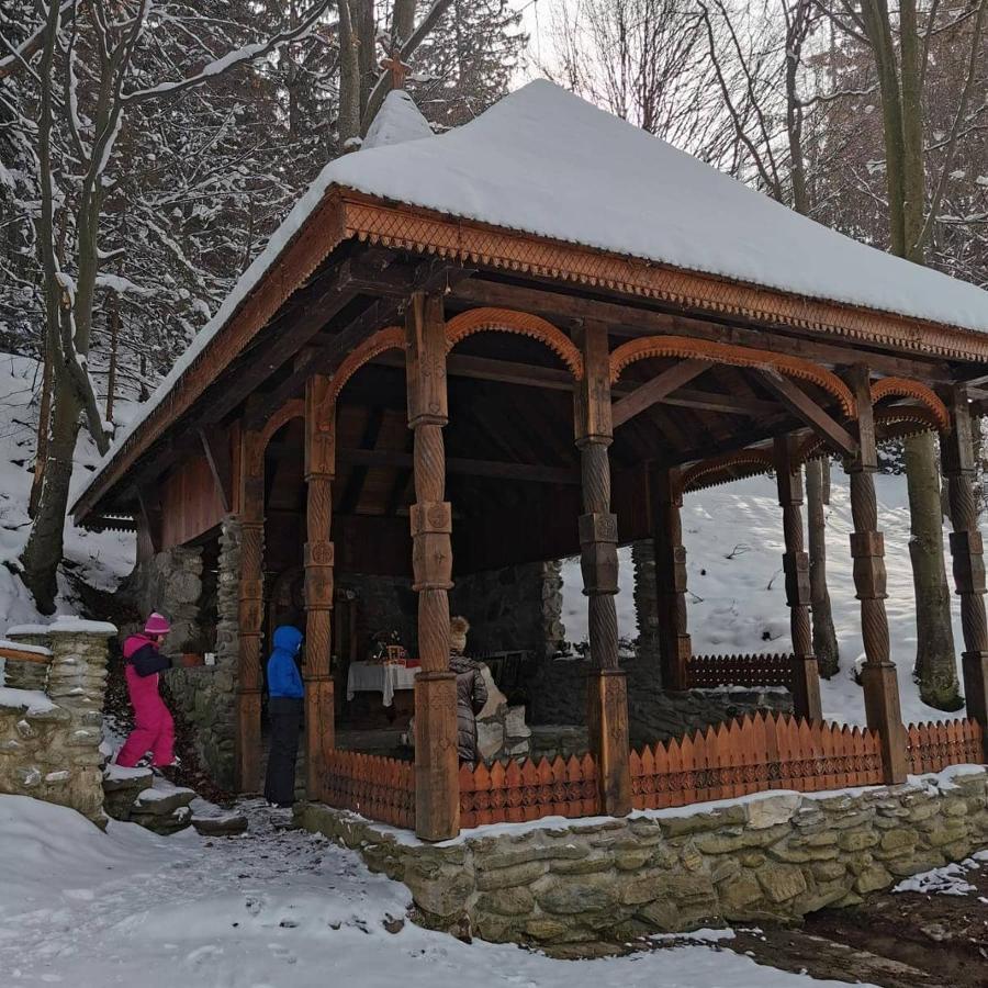 Pensiunea Maya Sâmbăta de Sus Exterior foto