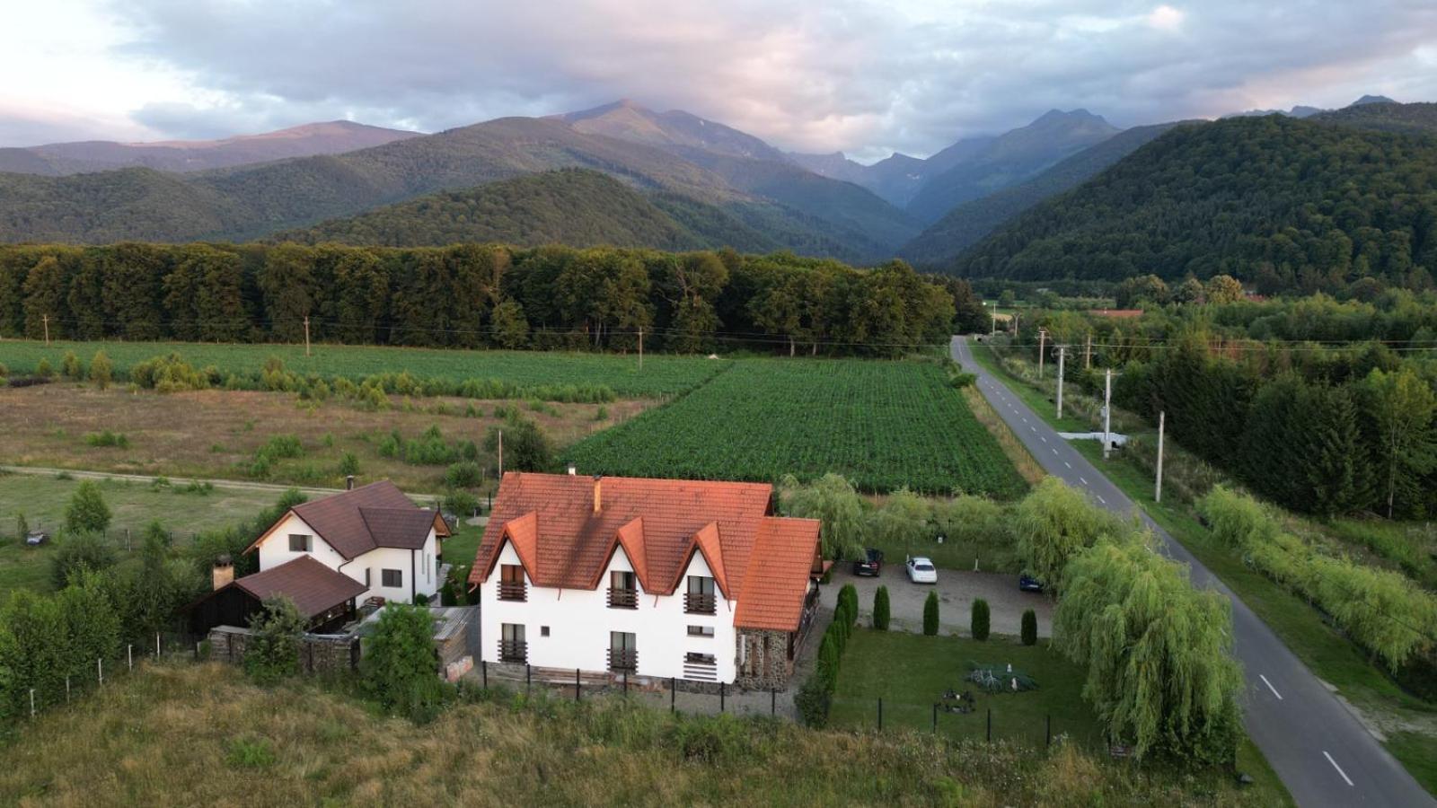 Pensiunea Maya Sâmbăta de Sus Exterior foto