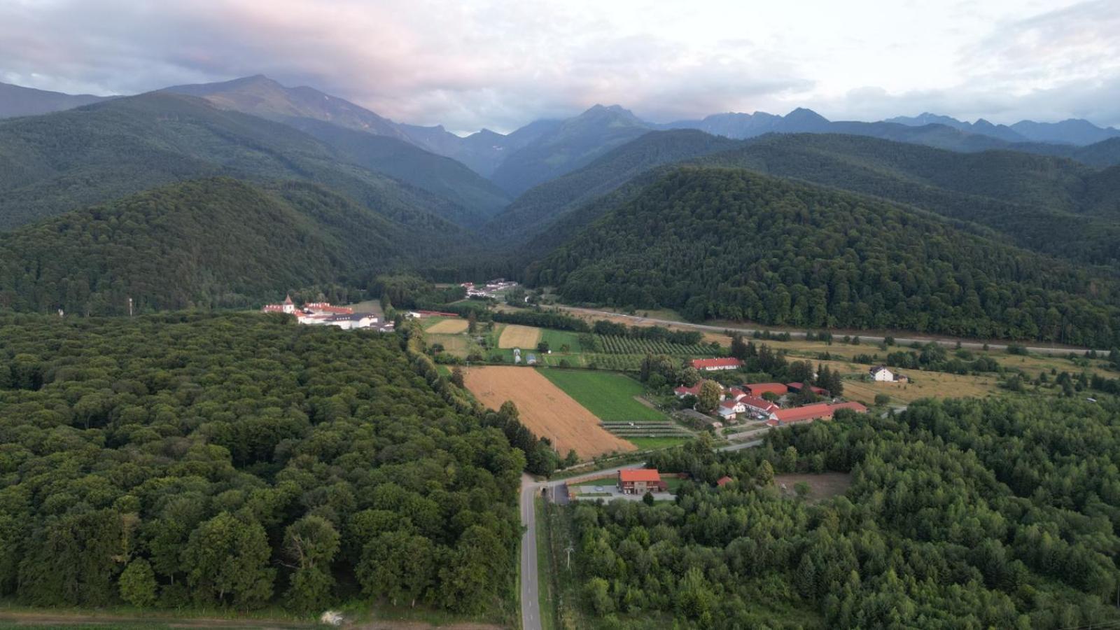Pensiunea Maya Sâmbăta de Sus Exterior foto