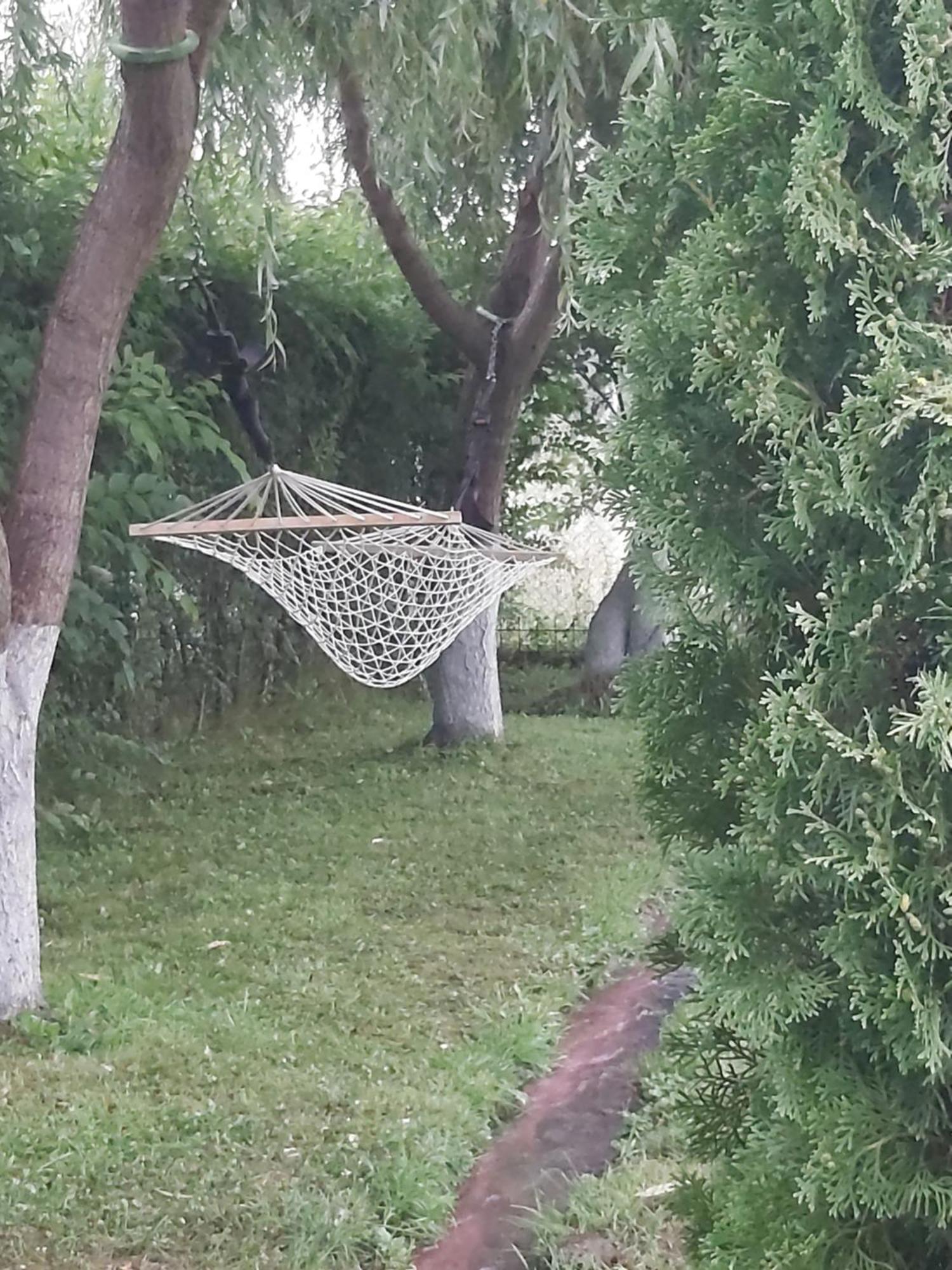 Pensiunea Maya Sâmbăta de Sus Exterior foto