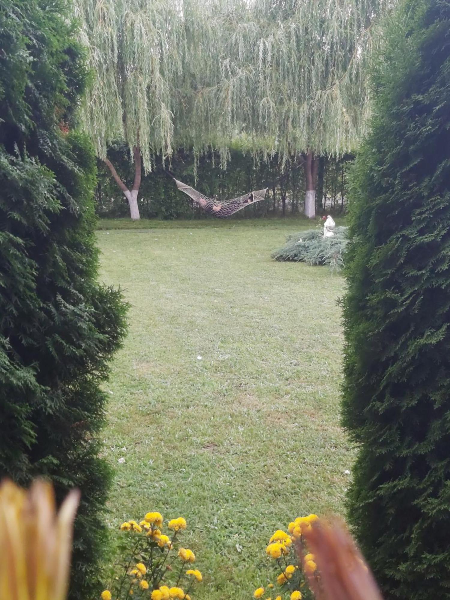Pensiunea Maya Sâmbăta de Sus Exterior foto