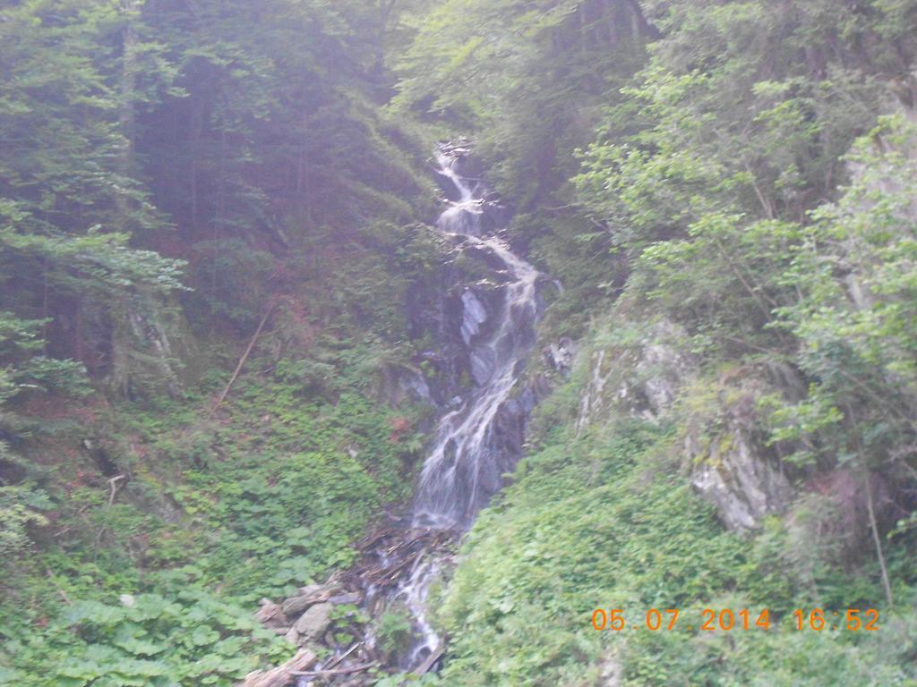 Pensiunea Maya Sâmbăta de Sus Exterior foto