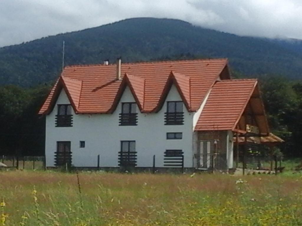 Pensiunea Maya Sâmbăta de Sus Exterior foto