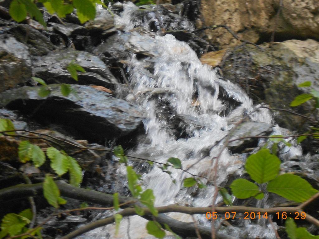 Pensiunea Maya Sâmbăta de Sus Exterior foto